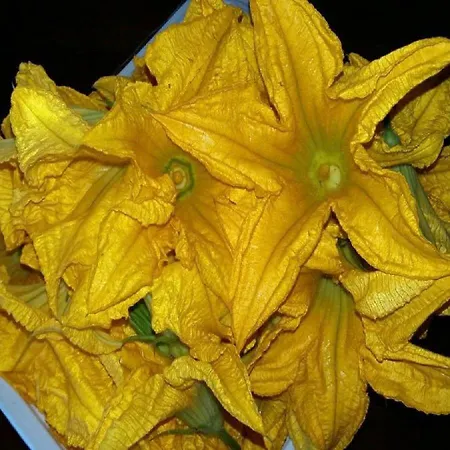 Κατάλυμα σε φάρμα Acquagentile