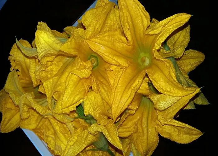 农家乐 Acquagentile