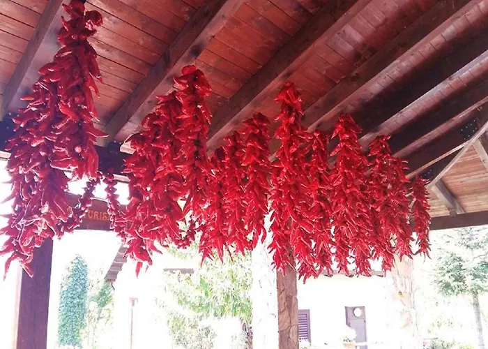 Acquagentile 农家乐 *